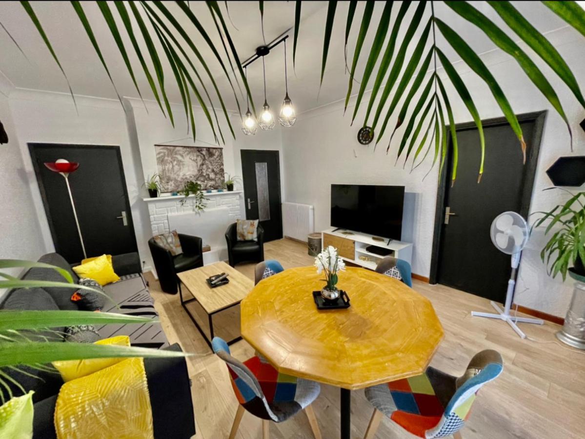 Tres Grand Appartement A 10 Min A Pied Du Centre Castres  Zewnętrze zdjęcie